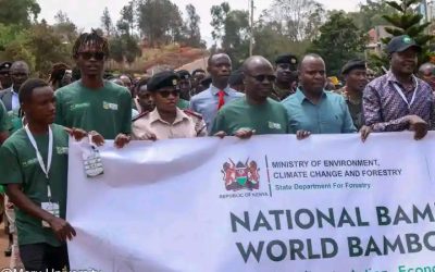 MUST Hosts Three-Day Bamboo Expo to Drive Innovation and Sustainable Development